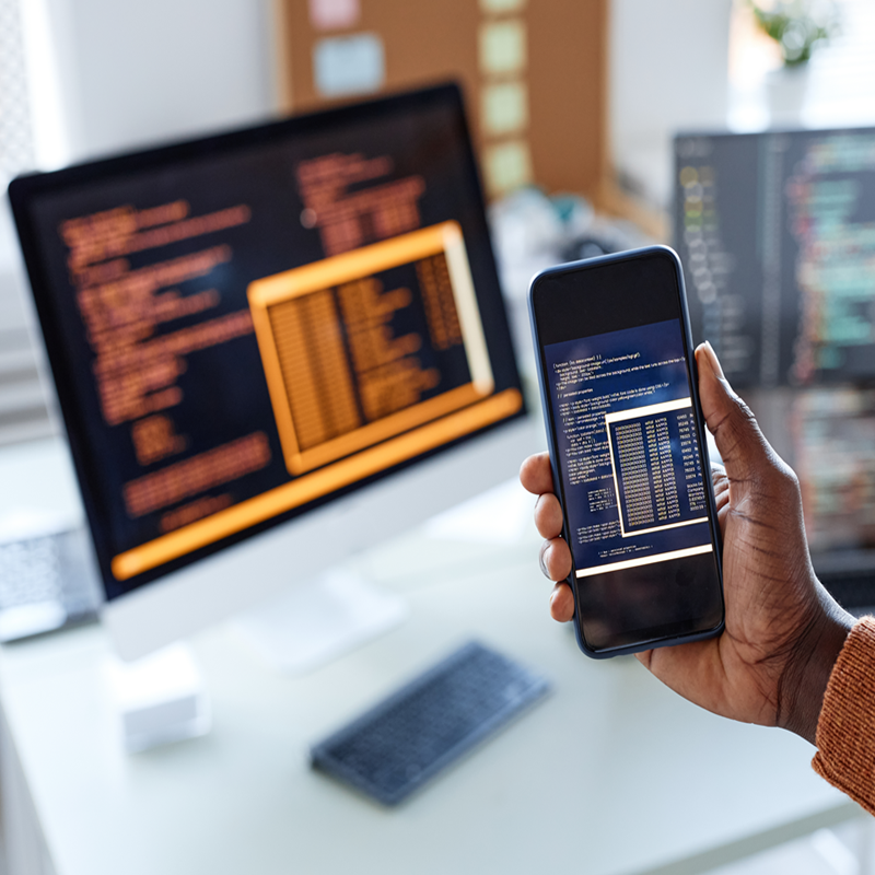 Flutter App Development